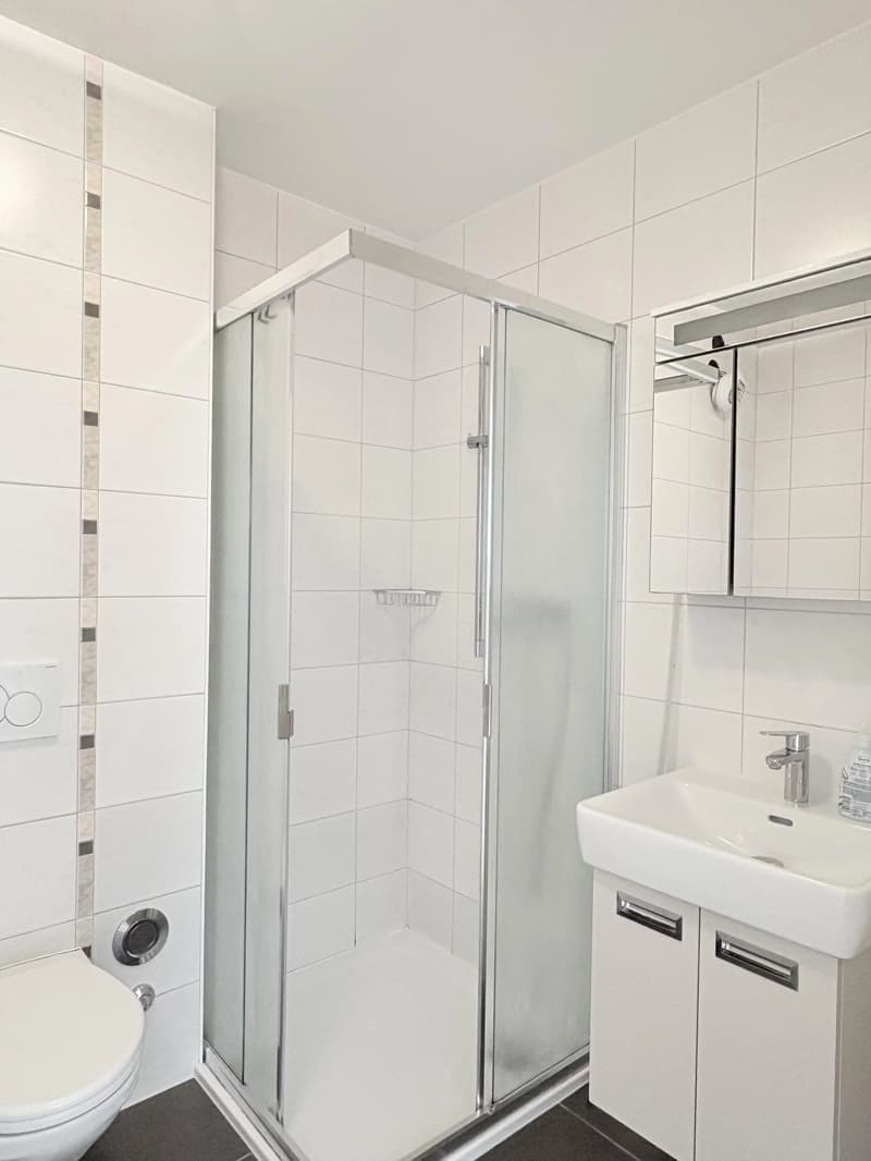 Schönes 4,5-Zimmer-Apartment in unmittelbarer Nähe zum See und allen Annehmlichkeiten (9)