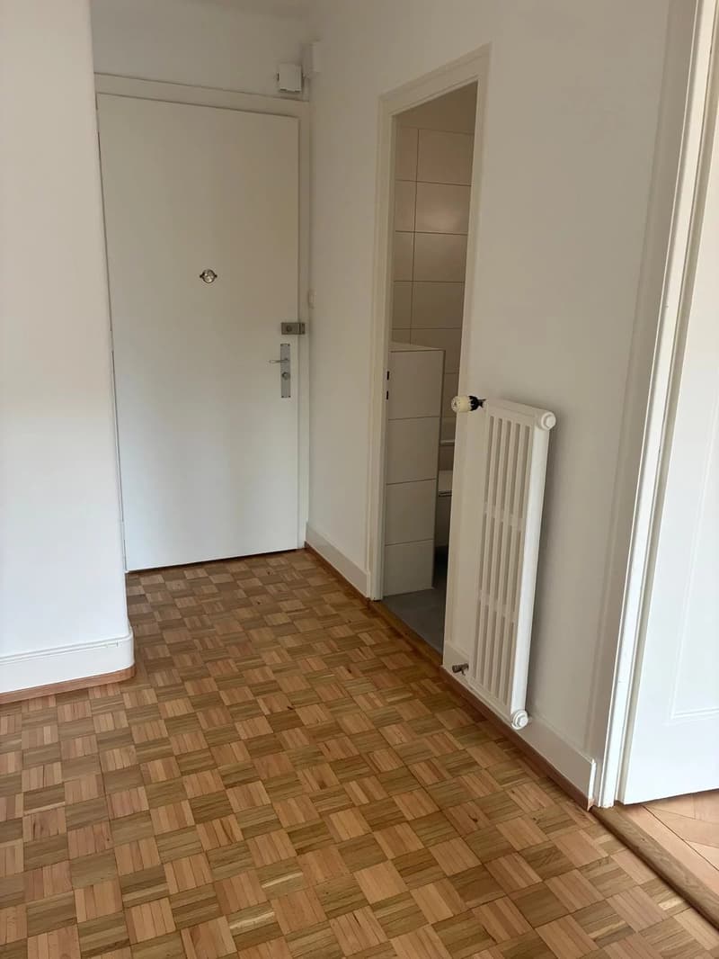 Schönes 2-Zimmer-Apartment komplett renoviert in Lausanne. (6)