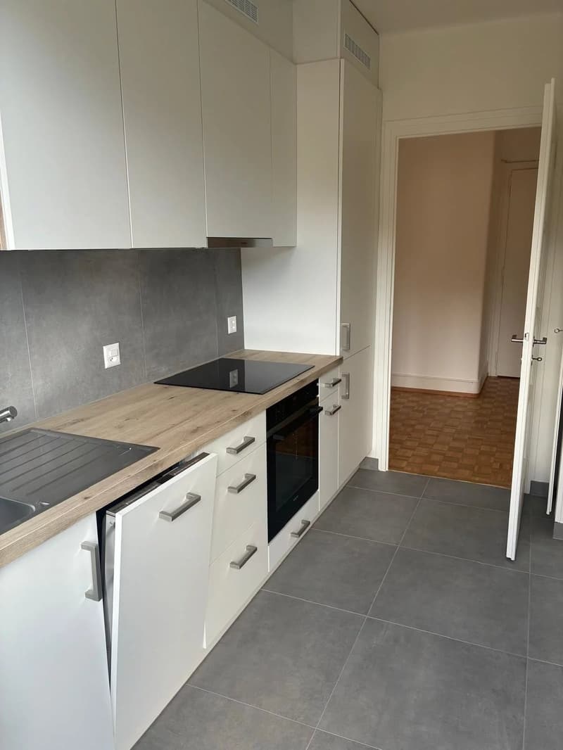 Schönes 2-Zimmer-Apartment komplett renoviert in Lausanne. (4)