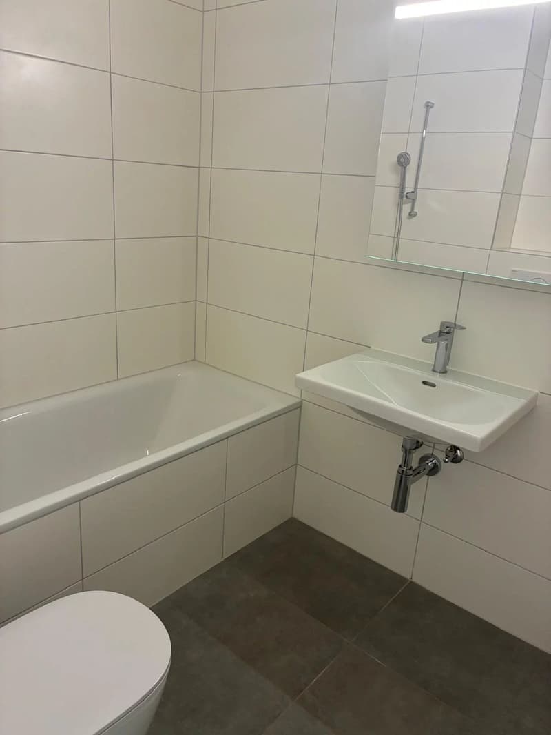 Schönes 2-Zimmer-Apartment komplett renoviert in Lausanne. (5)
