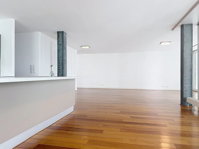 Superbe appartement lumineux, situé à deux pas du lac et du prestigieux Montreux Palace (5)