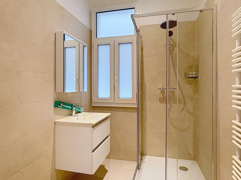 Spacieux et lumineux appartement entièrement rénové de 4,5 pièces au centre-ville. (8)