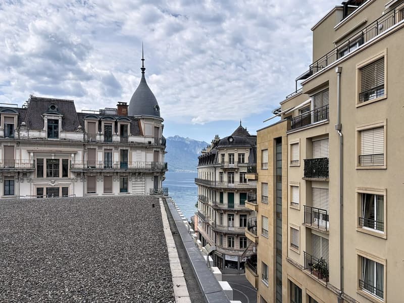Spacieux et lumineux appartement entièrement rénové de 4,5 pièces au centre-ville. (9)