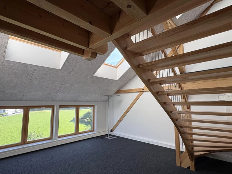 Belle surface commerciale de 106 m2 en duplex dans l'ancien arsenal à Bex (1)