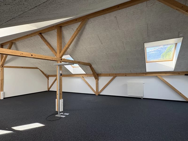 Belle surface commerciale de 106 m2 en duplex dans l'ancien arsenal à Bex (5)