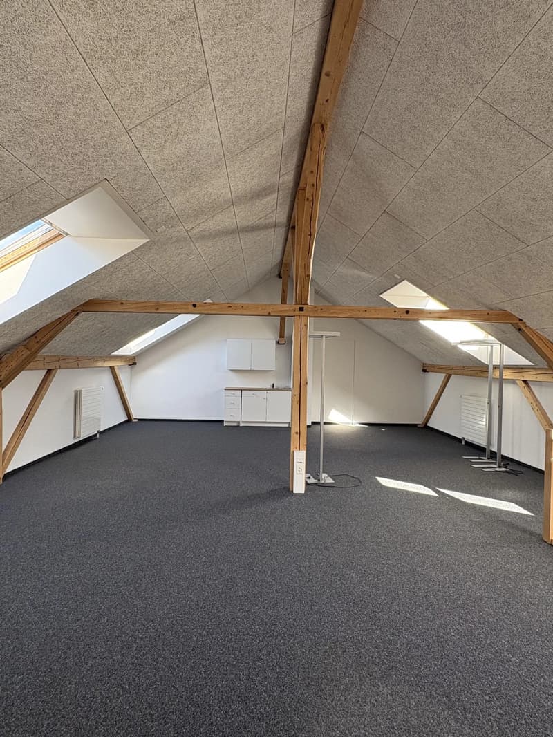 Belle surface commerciale de 106 m2 en duplex dans l'ancien arsenal à Bex (6)