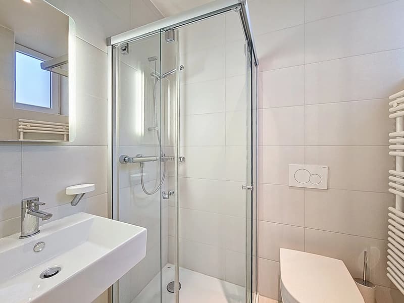Charmant et spacieux appartement de 3,5 pièces d'env. 108 m2 (11)