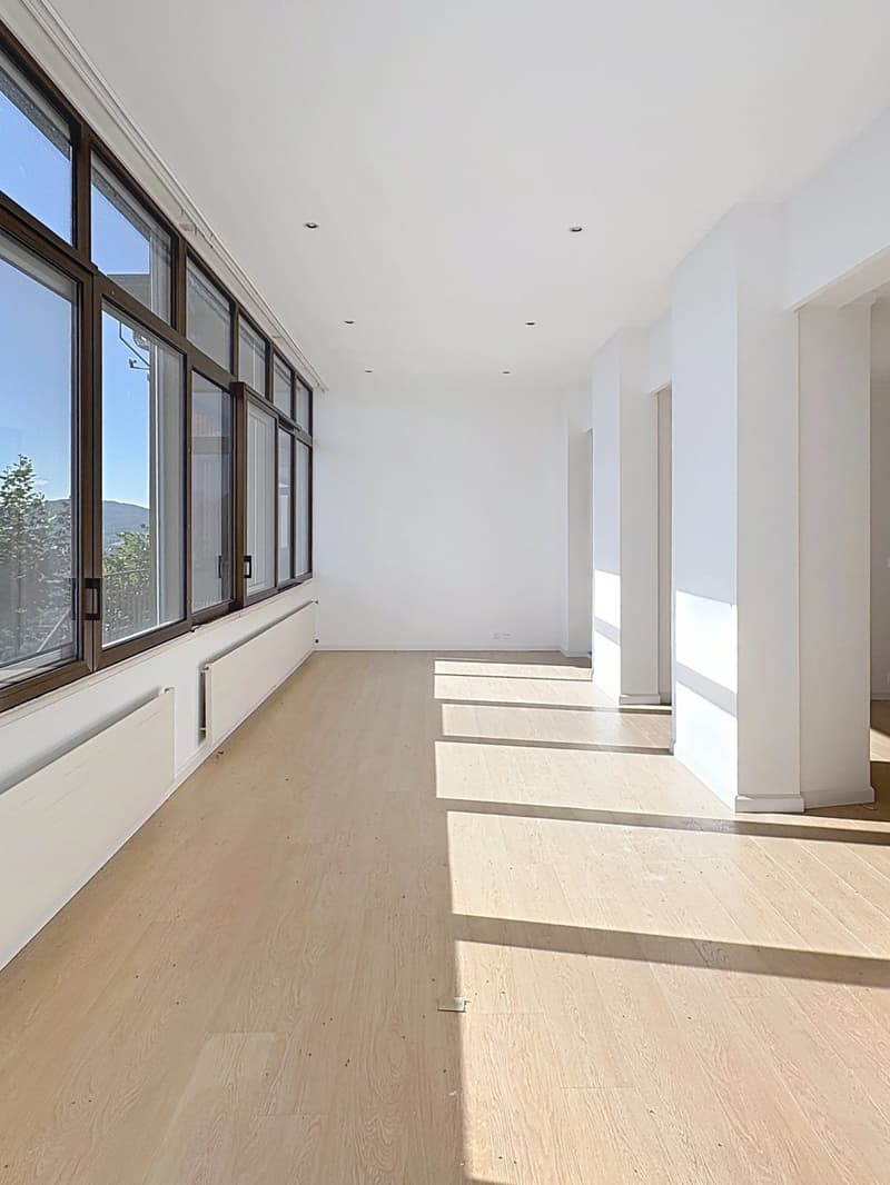 Spacieux appartement de 4,5 pièces avec vue panoramique sur le lac (3)