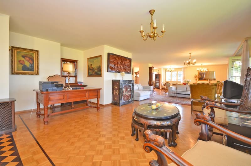 Spacious crossing apartment with 6.5 rooms (4)