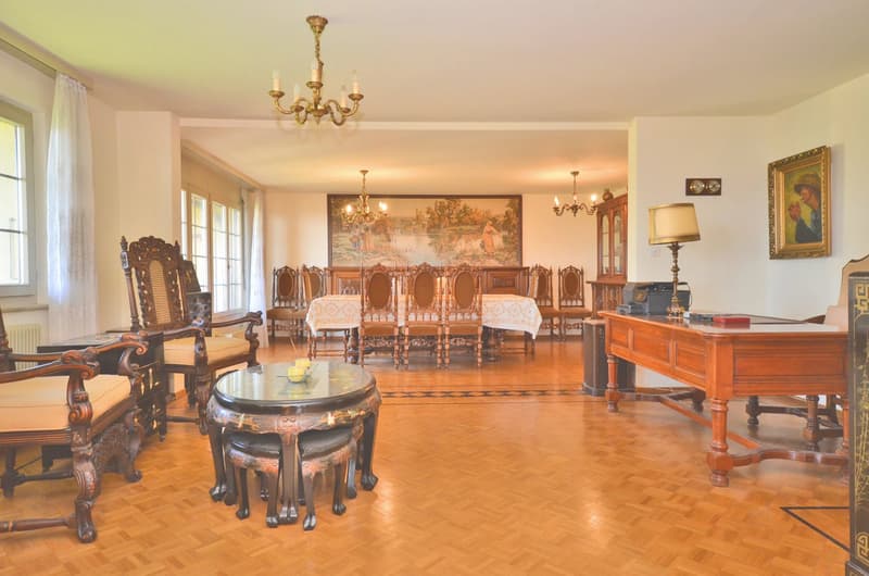 Spacious crossing apartment with 6.5 rooms (7)