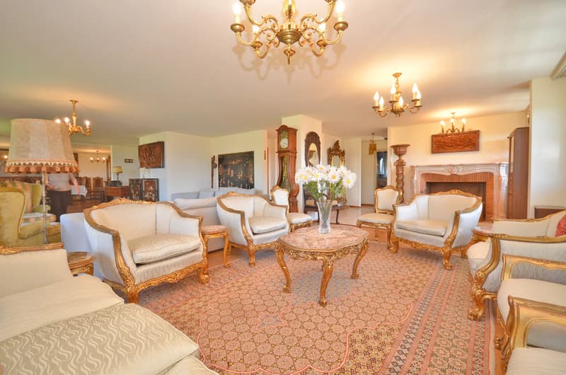 Spacious crossing apartment with 6.5 rooms (6)