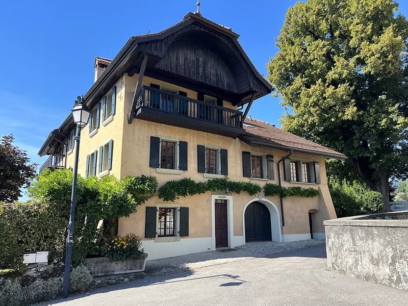Magnifique propriété de 12 pièces (4)