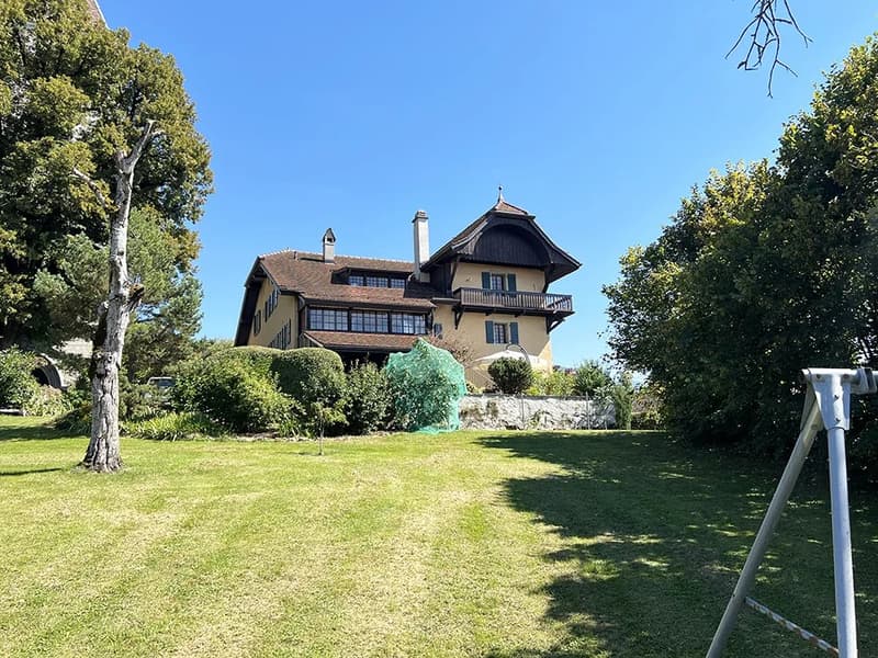 Magnifique propriété de 12 pièces (1)