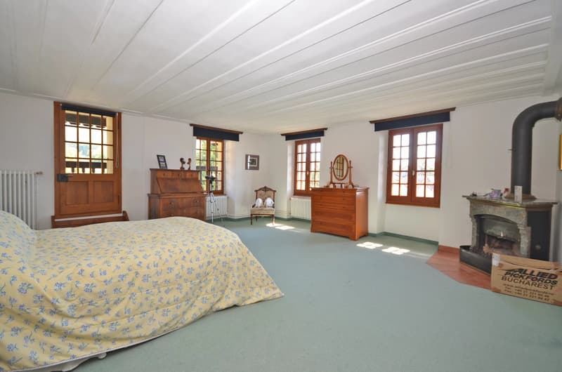 Magnifique propriété de 12 pièces (12)