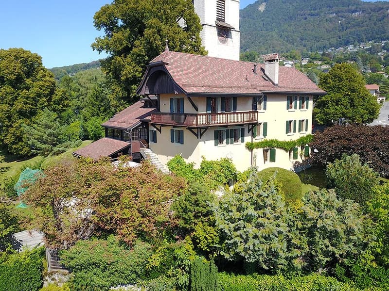 Magnifique propriété de 12 pièces (2)
