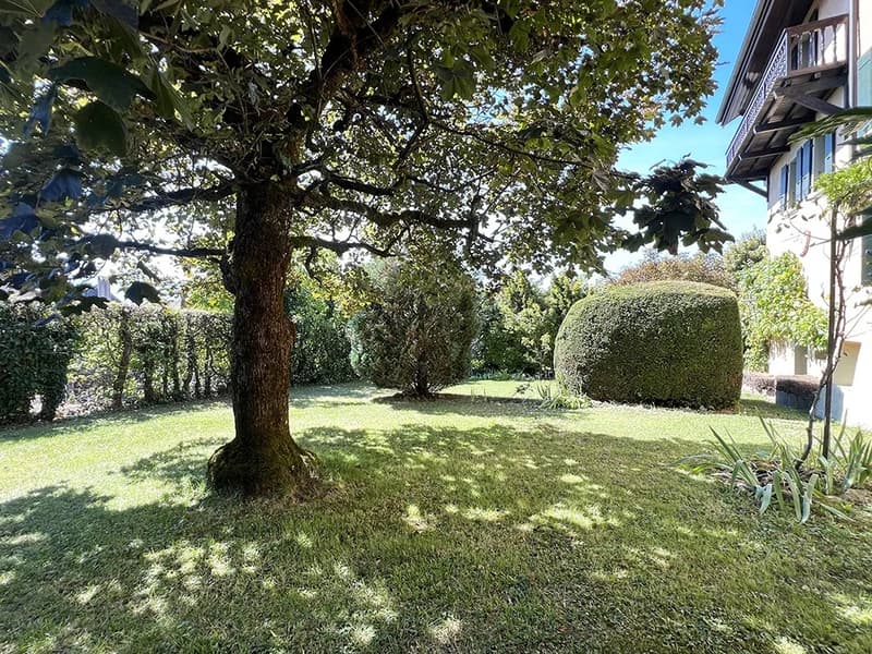 Magnifique propriété de 12 pièces (6)