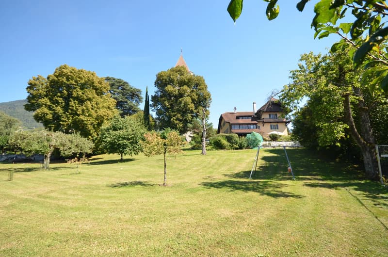 Magnifique propriété de 12 pièces (3)