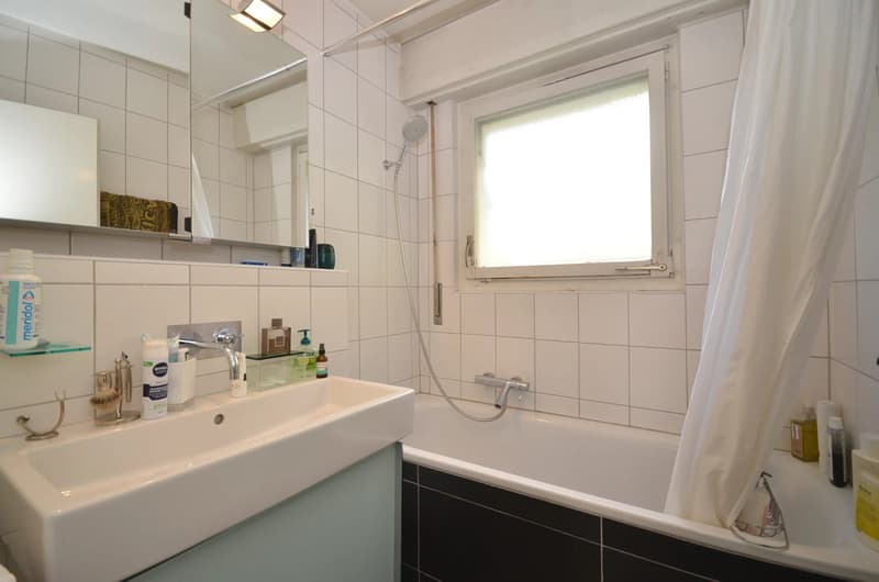 Apartment with 3.5 rooms and beautiful view of the lake and mountains (7)