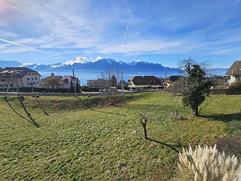 Vue sur le lac Léman et les montagnes
