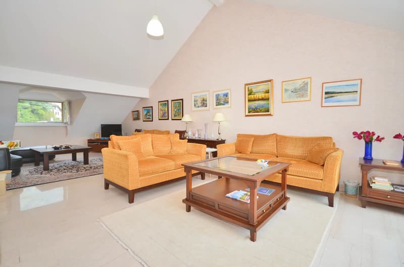 Apartment on the top floor, by the lake (4)