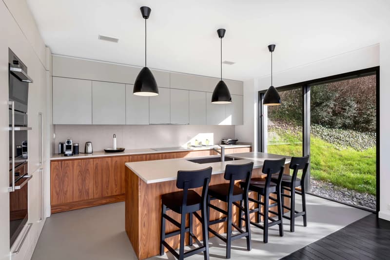 Beautiful 5.5-room duplex overlooking Lake Geneva (7)