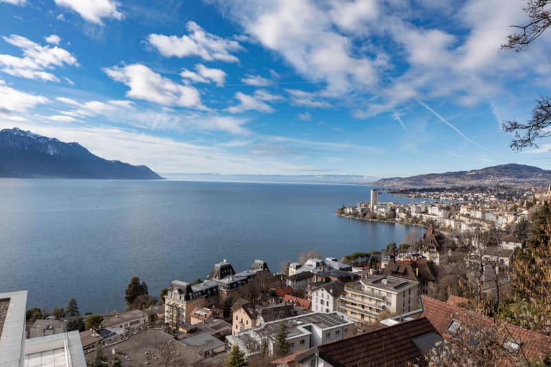 Beautiful 5.5-room duplex overlooking Lake Geneva (2)