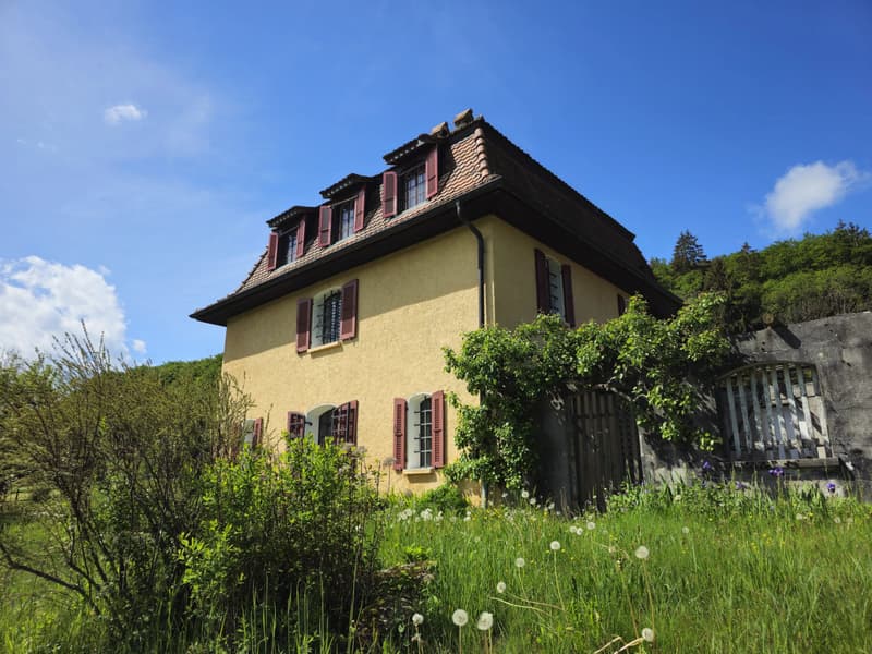 18th-century master house to renovate (2)