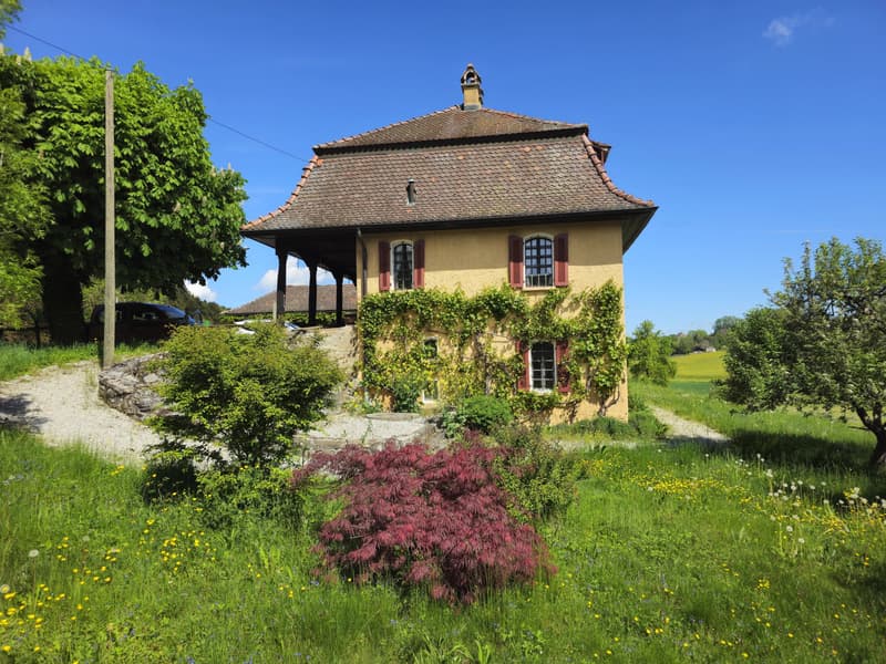 18th-century master house to renovate (1)