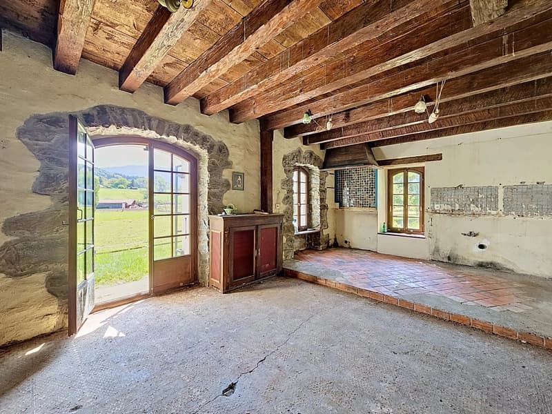 18th-century master house to renovate (6)