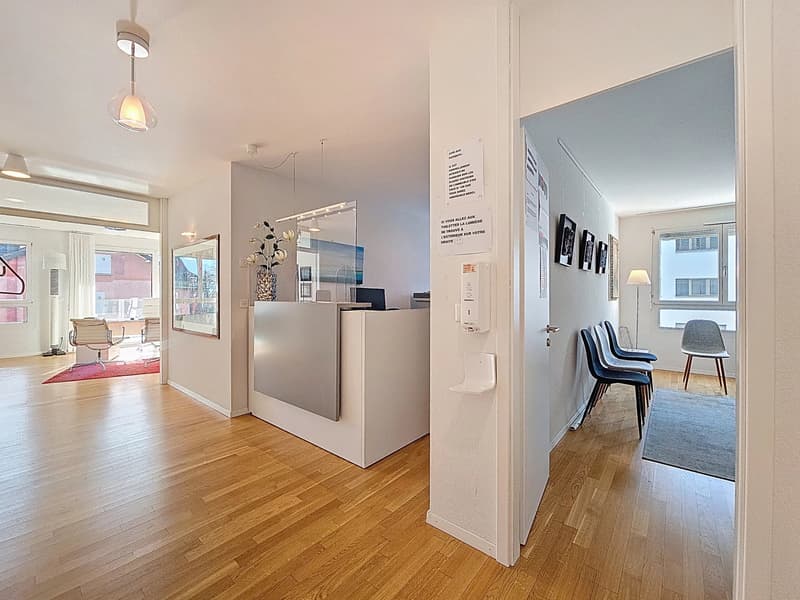 Beautiful 4.5-room apartment just a stone's throw from the lake (11)