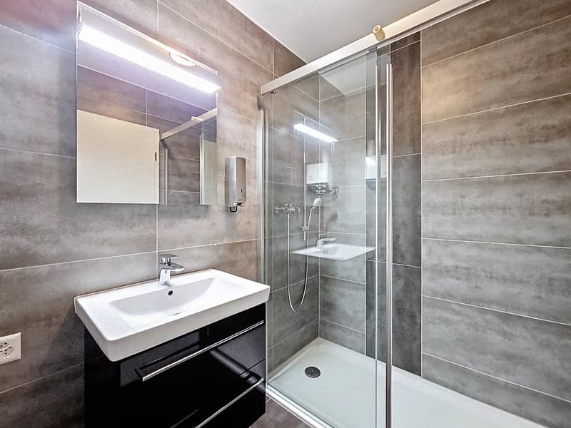 Beautiful 4.5-room apartment just a stone's throw from the lake (6)