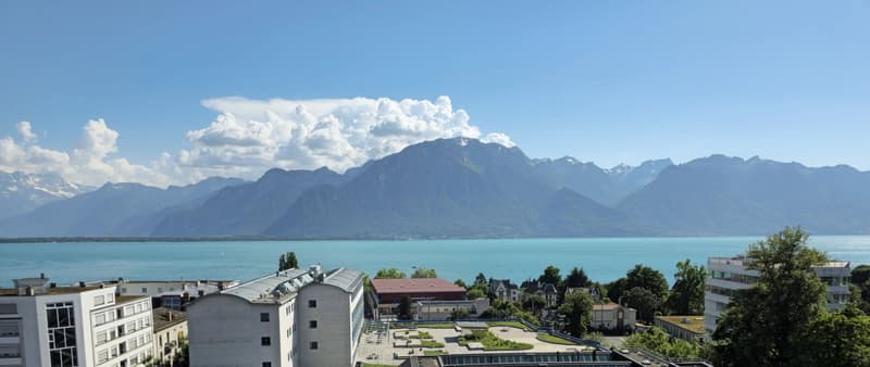 Superbe Dachgeschoss mit 4 Zimmern, großer Terrasse und Panoramablick (2)