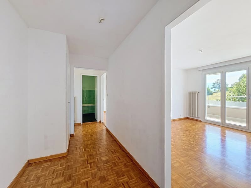 Bello appartamento di 3 locali (5)