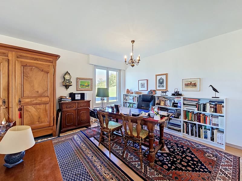 Sehr schönes Apartment im charmanten Dorf Chernex (5)