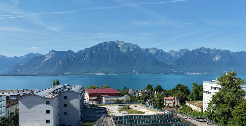 Superbe Dachgeschoss mit 4 Zimmern, großer Terrasse und Panoramablick (1)