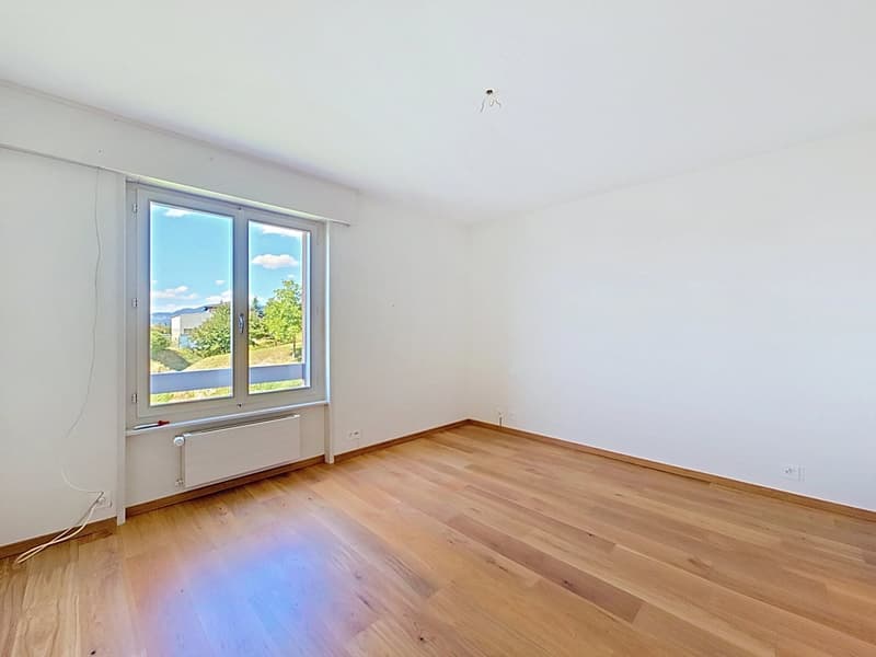 Très bel appartement dans le charmant village de Chernex (6)