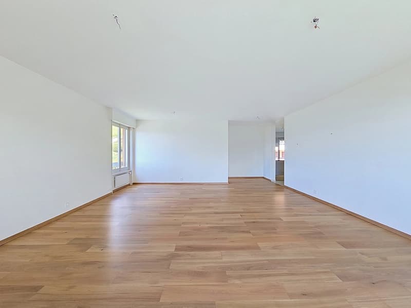 Très bel appartement dans le charmant village de Chernex (2)