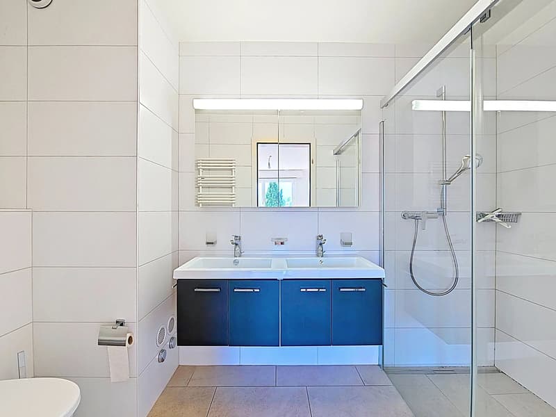 Aux portes de Vevey - Splendide appartement rénové avec place d'amarrage dans port privé (13)