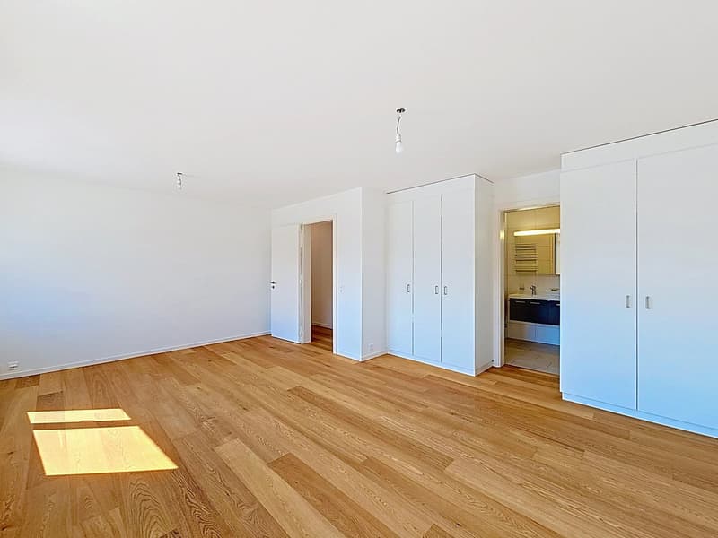 Aux portes de Vevey - Splendide appartement rénové avec place d'amarrage dans port privé (12)