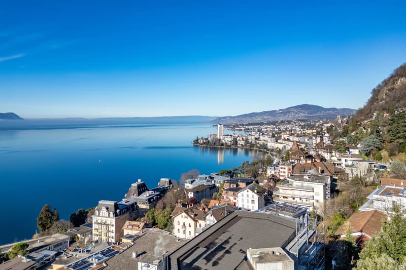 Magnifique vue sur le lac léman et ses montagnes