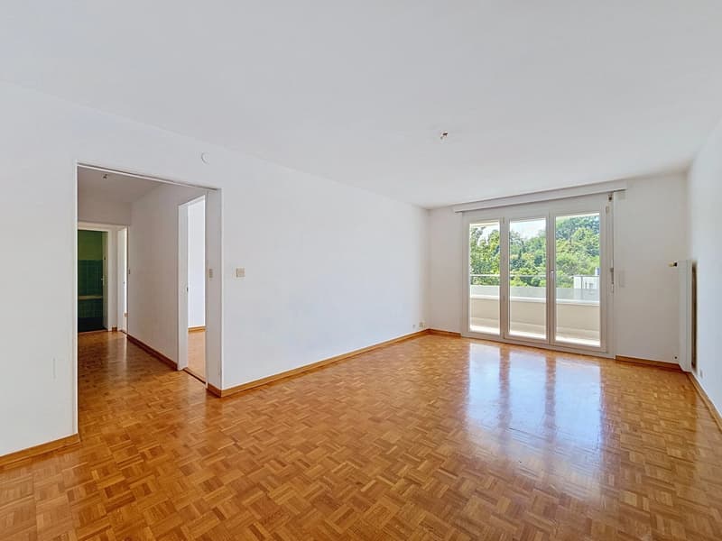 Joli appartement de 3 pièces (3)