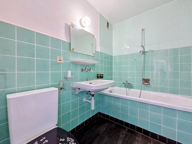 Joli appartement de 3 pièces (9)