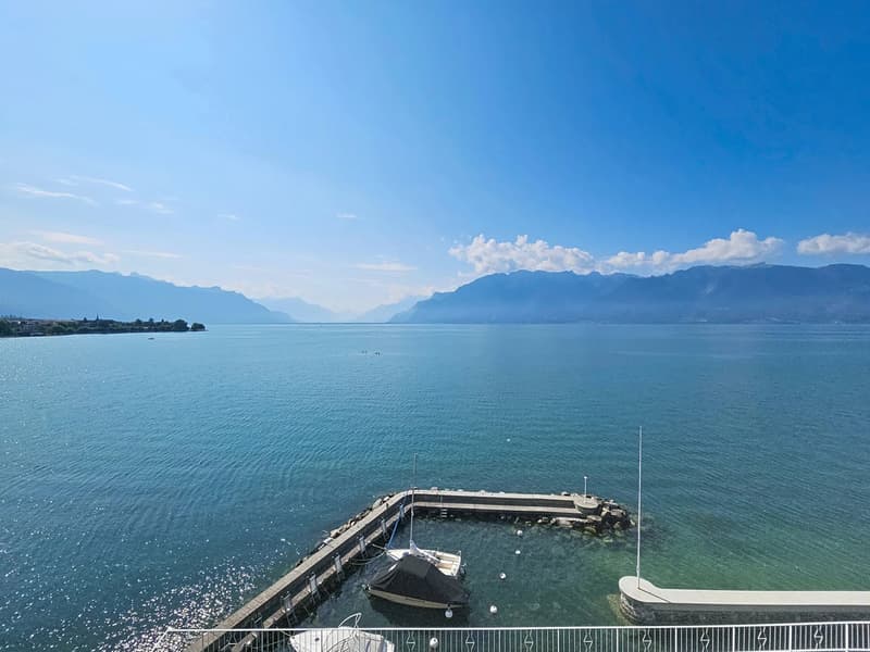 Aux portes de Vevey - Splendide appartement rénové avec place d'amarrage dans port privé (1)