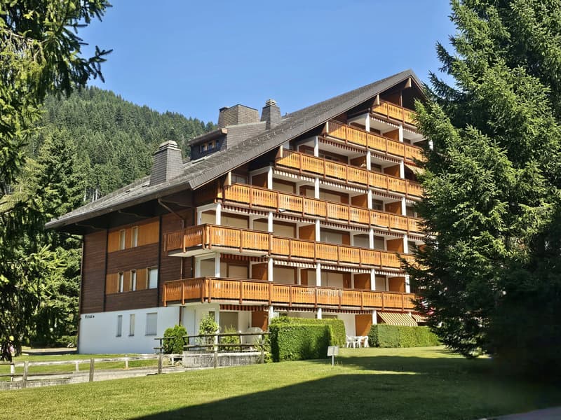 Bel appartement de 2 pièces avec magnifique vue (1)