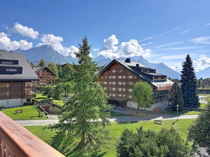 Bel appartement de 2 pièces avec magnifique vue (2)