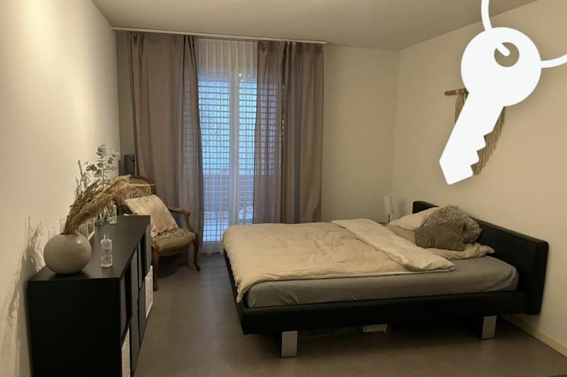 Appartamento 2.5 locali in prossimità della città (3)
