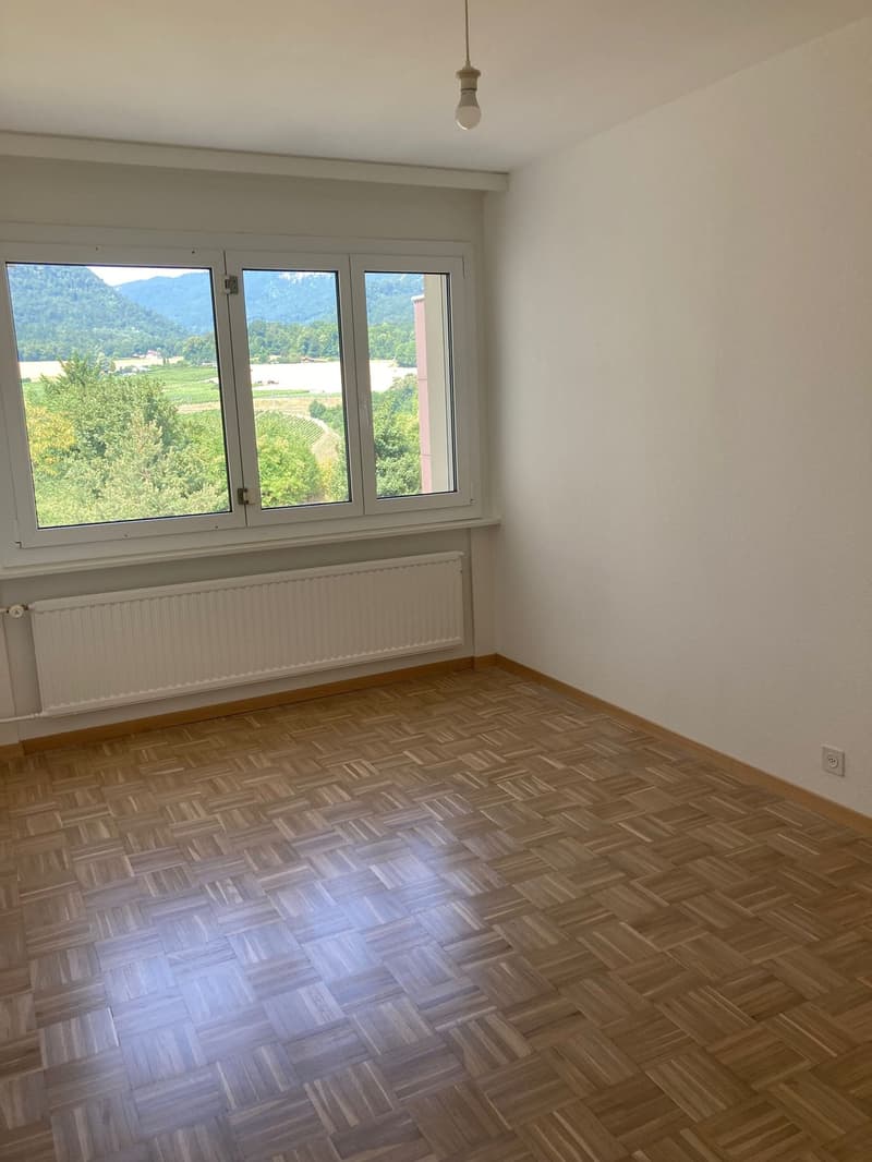 4.5 avec vue dégagée sur les montagnes (9)