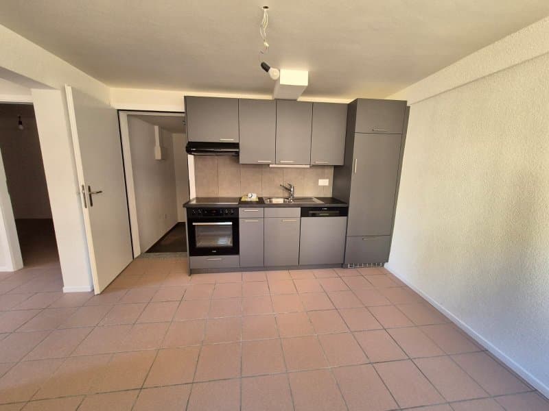 00271 - Appartamento 2 locali - Rue du Temple 13 - BOLE (4)