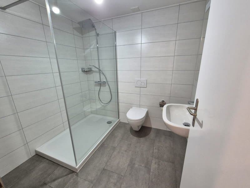 00271 - Appartamento 2 locali - Rue du Temple 13 - BOLE (5)