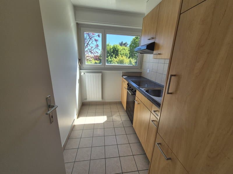 00032 - Appartamento 2 locali - Rue des Sources 8 - BOLE (3)